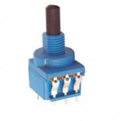 WH116AK-1-1M 500K ANAHTARLI POTANSİYOMETRE